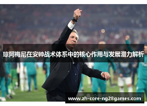 琼阿梅尼在安帅战术体系中的核心作用与发展潜力解析